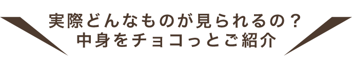 実際どんなものが見られるの？中身をチョコっとご紹介